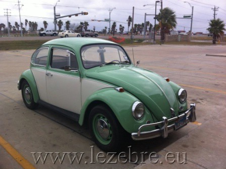 volkswagen beetle